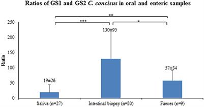 Campylobacter concisus Genomospecies 2 Is Better Adapted to the Human Gastrointestinal Tract as Compared with Campylobacter concisus Genomospecies 1